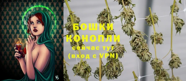твердый Коряжма
