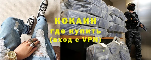 твердый Коряжма