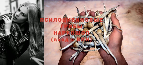 прущие грибы Краснослободск