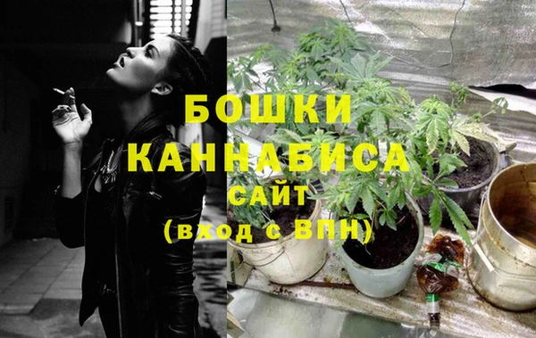 твердый Коряжма