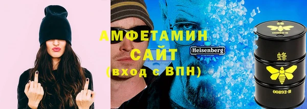 прущие грибы Краснослободск