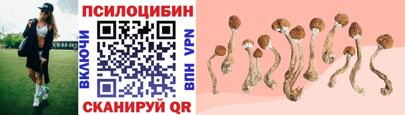 Галлюциногенные грибы мицелий  Мглин 