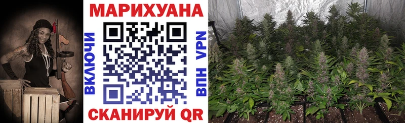 Конопля конопля  наркошоп  Мглин 